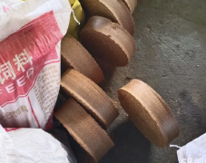 花生芝麻核桃黄豆山茶籽榨油